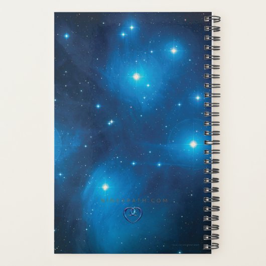Pleiades Planner Planer (Rückseite)