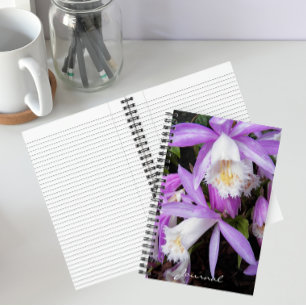 Pleione Fensterbank-Orchideen Blumen Notizblock