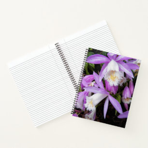 Pleione Fensterbrett-Orchideen Blumen Notizblock
