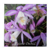 Pleione Windows Orchids Floral Fliese (Vorderseite)
