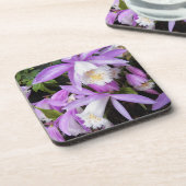 Pleione Windows Orchids Floral Getränkeuntersetzer (Linke Seite)