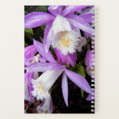 Pleione Windows Orchids Floral Notizblock (Rückseite)