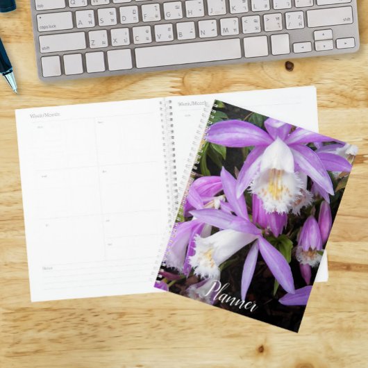 Pleione Windows Orchids Floral Planer