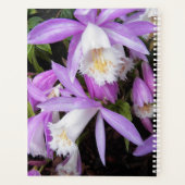 Pleione Windows Orchids Floral Planer (Rückseite)