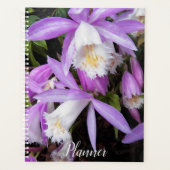 Pleione Windows Orchids Floral Planer (Vorderseite)