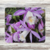 Pleione Windows Orchids Floral Schneidebrett