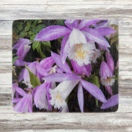 Pleione Windows Orchids Floral Schneidebrett