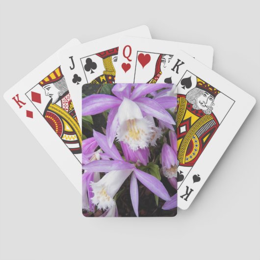 Pleione Windows Orchids Floral Spielkarten (Rückseite)
