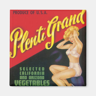 Plenti Grand Magnet