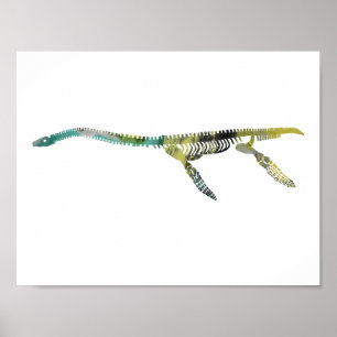 Plesiosaurskelett Poster