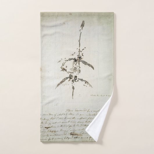 Plesiosaurus dolichodeirus handtuch (Handtuch)