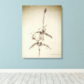 Plesiosaurus dolichodeirus leinwanddruck (Insitu (Holzboden))