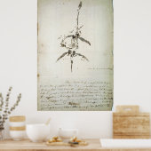 Plesiosaurus dolichodeirus poster (Küche)