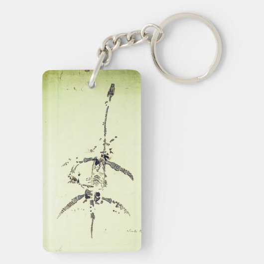 Plesiosaurus dolichodeirus Schlüsselanhänger (Rückseite)