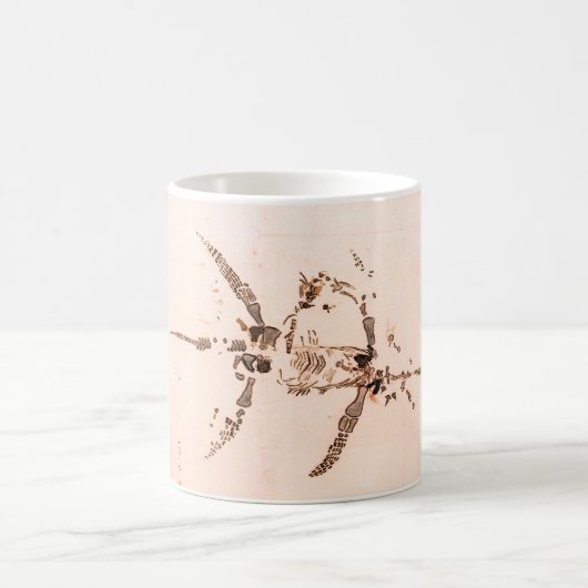 Plesiosaurus dolichodeirus Tasse (Mittel)