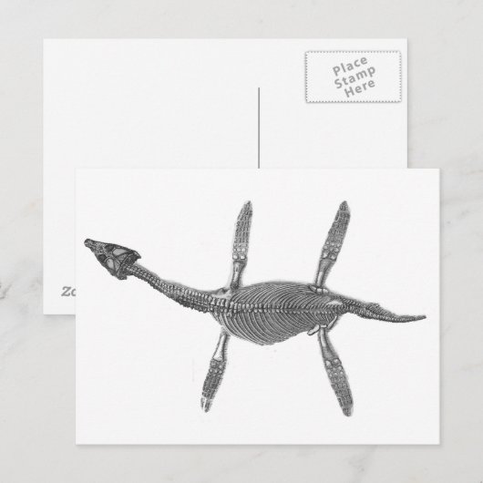 Plesiosaurus Skeleton Antique Print Postkarte (Vorne/Hinten)