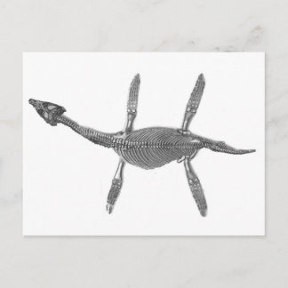 Plesiosaurus Skeleton Antique Print Postkarte