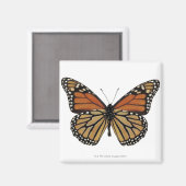Plexippus Danaus Butterfly Magnet (Vorderseite/Rückseite)