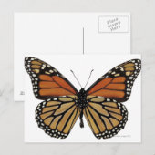 Plexippus Danaus Butterfly Postkarte (Vorne/Hinten)