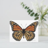 Plexippus Danaus Butterfly Postkarte (Stehend Vorderseite)