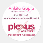 Plexus Sticker (Vorderseite)