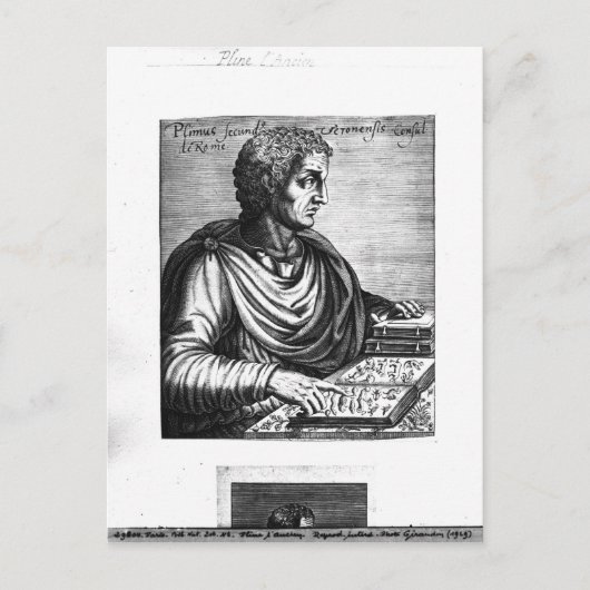 Pliny the Elder Postkarte (Vorderseite)