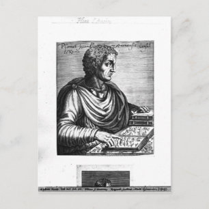 Pliny the Elder Postkarte