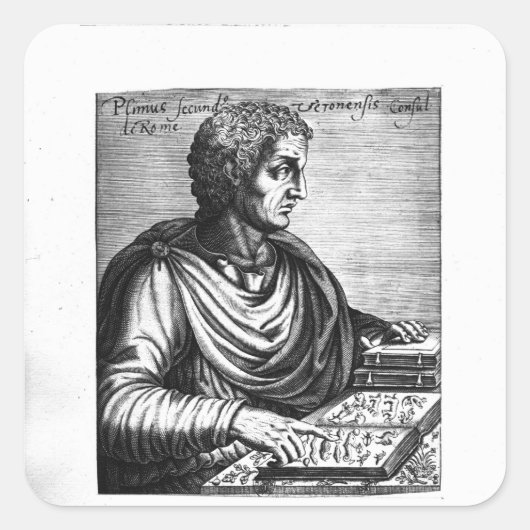 Pliny the Elder Quadratischer Aufkleber (Vorderseite)