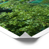 Plitvice Seen Kroatien Landschaft Fotografie Poster (Ecke)