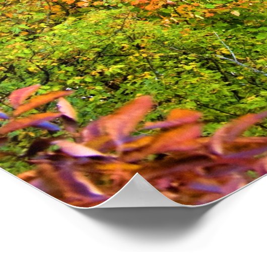 Plitvicer Seen in Kroatien Poster (Ecke)