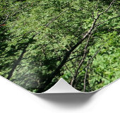 Plitvicer Seen Kroatien Poster (Ecke)