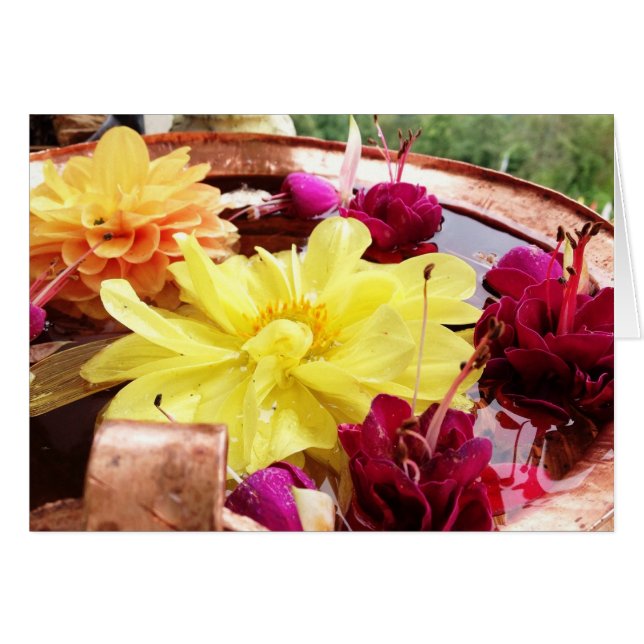 Plocken im Nebel (Vorderseite (Horizontal))