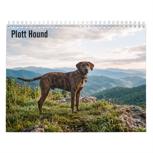 Plott Hound 2027 Wandkalender (Titelbild)
