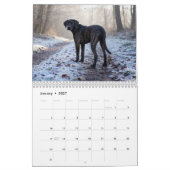 Plott Hound 2027 Wandkalender (Jan 2027)