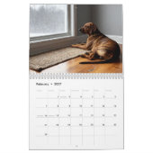 Plott Hound 2027 Wandkalender (Feb 2027)