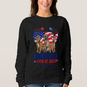 Plott Hound Amerika 4. Juli Unabhängigkeitstag Sweatshirt