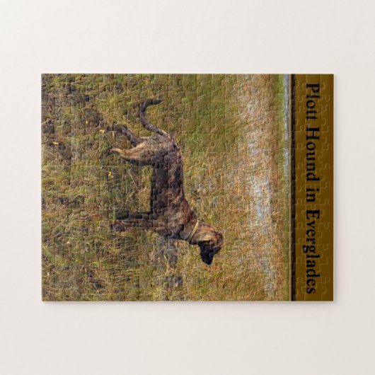 Plott Hound in Everglades Florida Jigsaw Puzzle (Horizontal)