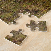 Plott Hound in Everglades Florida Puzzle (Seite)