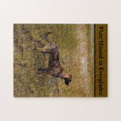 Plott Hound in Everglades Florida Puzzle (Horizontal)