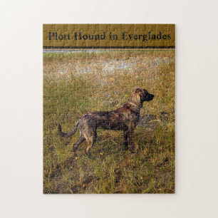 Plott Hound in Everglades Florida Puzzle
