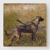 Plott Hound Jagd Hunde Wall Uhr (Vorderseite)