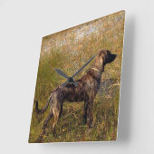 Plott Hound Jagd Hunde Wall Uhr (Winkel)