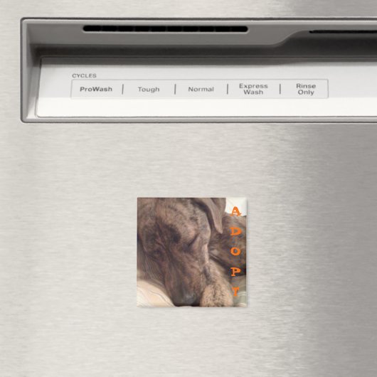 Plott Hound Magnet (In Situ (Geschirrspüler))