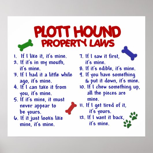 PLOTT HOUND PL2 POSTER (Vorne)