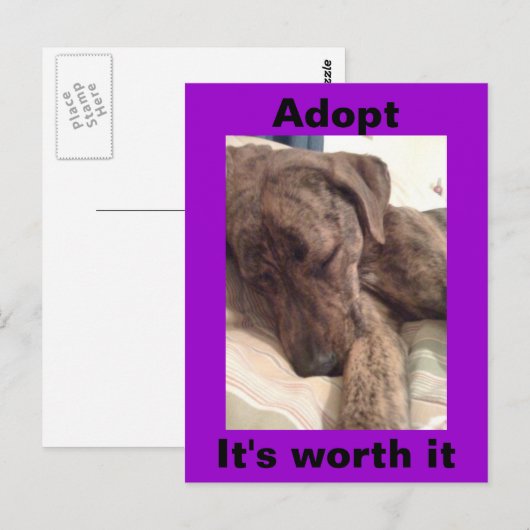 Plott Hound Postkarte (Vorne/Hinten)