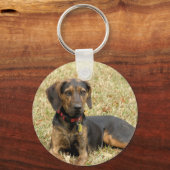 Plott Hound Schlüsselanhänger (Vorderseite)