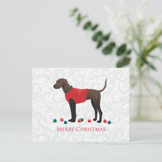Plott Hound Weihnachten (Stehend Vorderseite)
