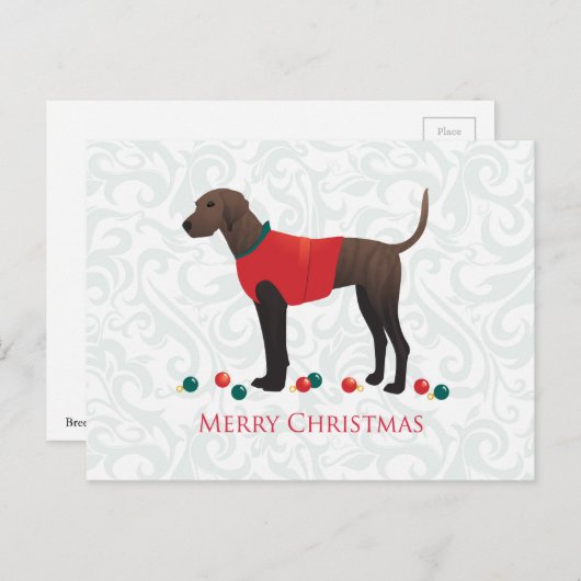 Plott Hound Weihnachten (Vorne/Hinten)