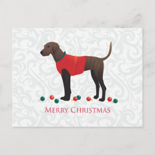 Plott Hound Weihnachten