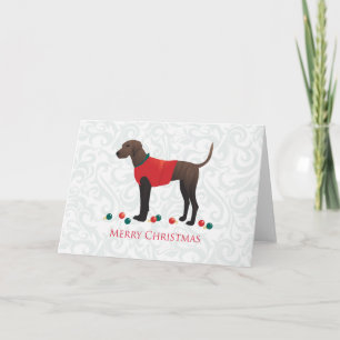 Plott Hound Weihnachten